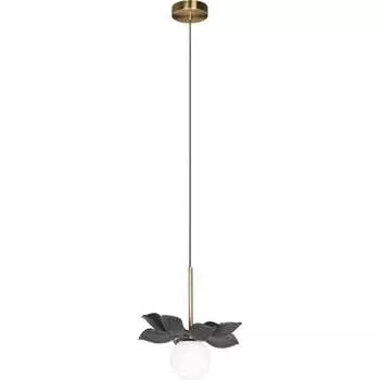 Подвесной светильник LOFT IT Monro 10213/B Black