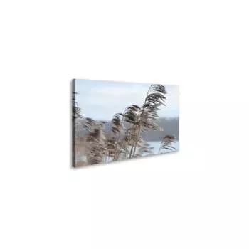 Постер (картина) Студия фотообоев