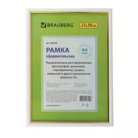 Рамка BRAUBERG