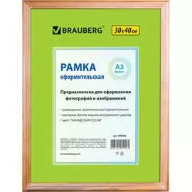 Рамка BRAUBERG