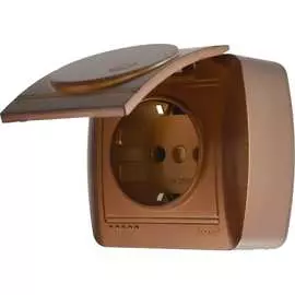 Розетка Lezard DEMET 711-0500-123