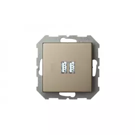 Розетка LIREGUS Эпсилон IUK-2-01 E/Ch 28-3242