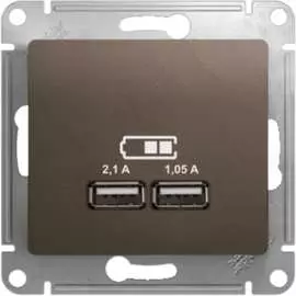Розетка Systeme Electric Glossa GSL000833