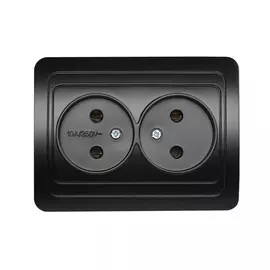 Двухместная розетка Smartbuy Марс SBE-02b-10-S2-N-c