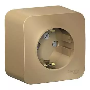 Розетка Systeme Electric Blanca BLNRA011104