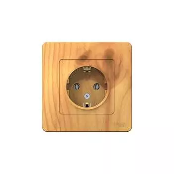Розетка Systeme Electric BLANCA BLNRS001015