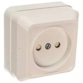 Розетка TDM ELECTRIC Ладога SQ1801-0059