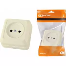 Розетка TDM ELECTRIC Ладога SQ1801-0210