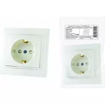 Розетка TDM ELECTRIC Таймыр SQ1814-0516