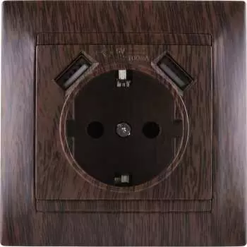 Розетка TDM ELECTRIC Лама SQ1815-0442
