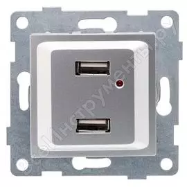 Двойная розетка usb GUSI Electric Ugra С11USB2-004