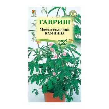 Семена ГАВРИШ 002806