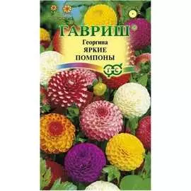 Семена ГАВРИШ Георгина Яркие помпоны 10006617