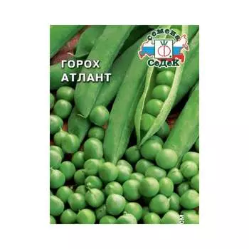 Семена СеДек 15367