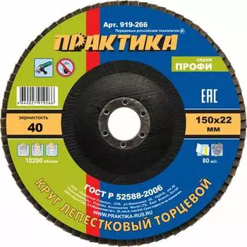 Шлифовальный лепестковый круг ПРАКТИКА 919-266