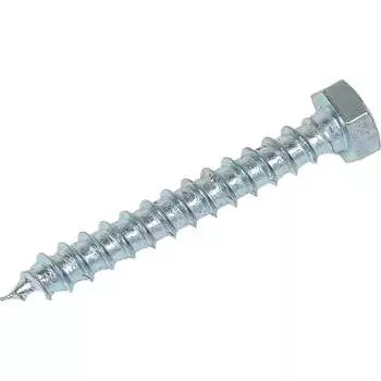 Шуруп крепежная техника 8х60 (100 шт.) 497144