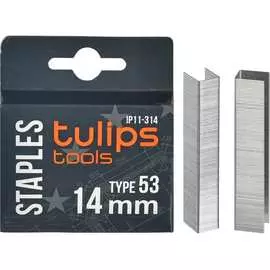 Скобы для степлера Tulips Tools