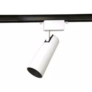 Светильник Ambrella Light GL585 AMBR_GL5853