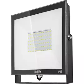 Светильник ОНЛАЙТ OFL-100-6K-BL-IP65-LED 61948