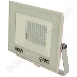 Светодиодный прожектор Gauss 613120300