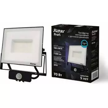 Светодиодный прожектор RITTER PROFI 53423 9