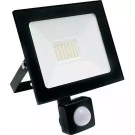 Светодиодный прожектор SAFFIT SFL80-30 2835SMD 30W 6400K AC220V/50Hz IP65 29523