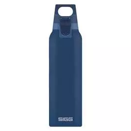 Термобутылка Sigg