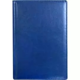 Тонированный недатированный ежедневник Attache