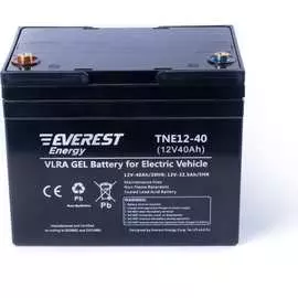 Тяговая аккумуляторная батарея EVEREST Energy Energy TNE 12-40