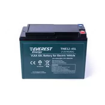 Тяговые аккумуляторные батареи EVEREST Energy TNE12-45L