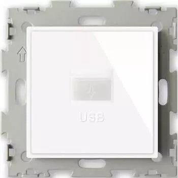 Usb розетка CGSS Эстетика GL-W201U-WCG
