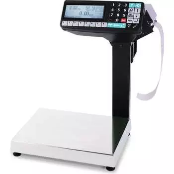 Весы-регистраторы МАССА-К МК-32.2-RP-10 20924