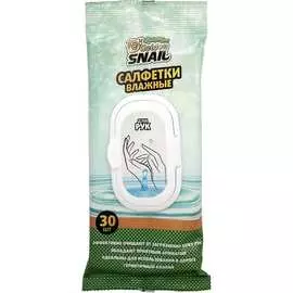 Влажные салфетки для рук Golden Snail GS0404