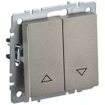 Выключатель IEK Brite вс10-1-5-брш BR-V15-0-10-K37