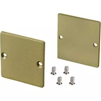 Заглушка Arlight sL-LiNe-3638-LW GOLD глухая 039983