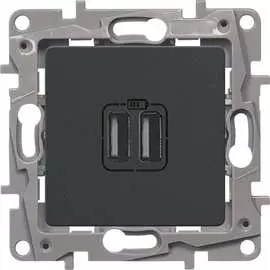 Зарядное устройство Legrand Etika 672694