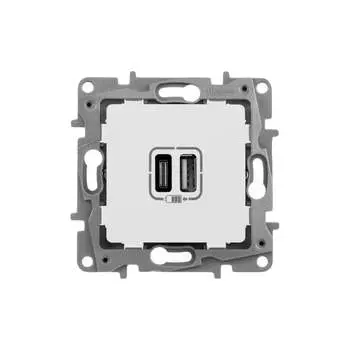 Зарядное устройство Legrand Etika 672235