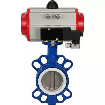 Затвор DN.ru wcb-316l-ptfe D050-02388
