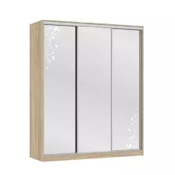 Шкаф-купе Мебельсон