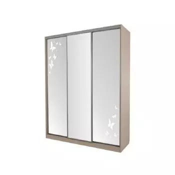 Шкаф-купе Мебельсон