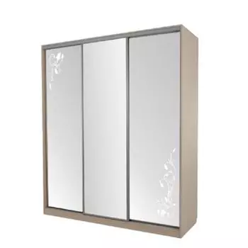 Шкаф-купе Мебельсон