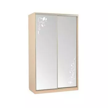 Шкаф-купе Мебельсон