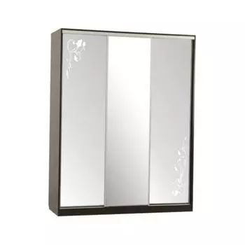 Шкаф-купе Мебельсон