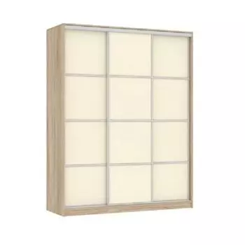 Шкаф-купе Мебельсон