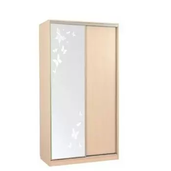 Шкаф-купе Мебельсон