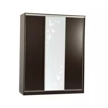 Шкаф-купе Мебельсон