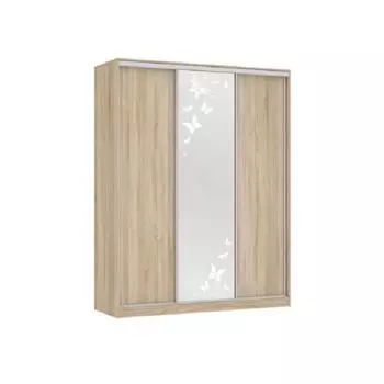 Шкаф-купе Мебельсон