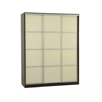 Шкаф-купе Мебельсон