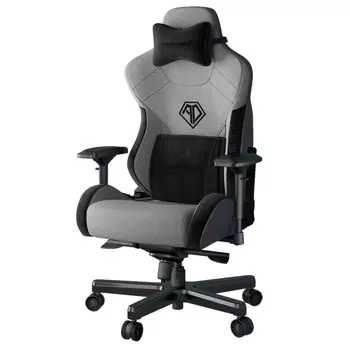 Игровое кресло AndaSeat T-Pro 2, серый/чёрный