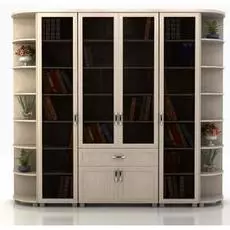 Шкаф книжный Яна